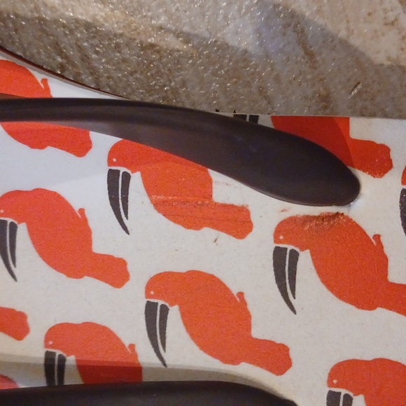 Kate Spade Toucan Flip Flops - Picture 8 of 12